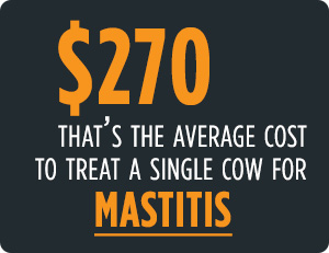 the cost of mastitis