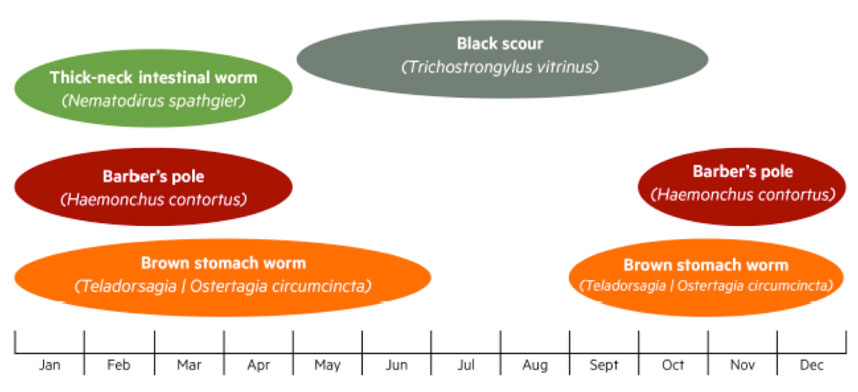 Traditional Internal Parasite High Risk Seasons