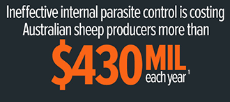 Internal parasites