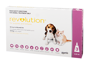 Revolution for Cats Rabbits Zoetis AU