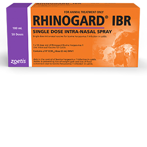 Rhinogard IBR