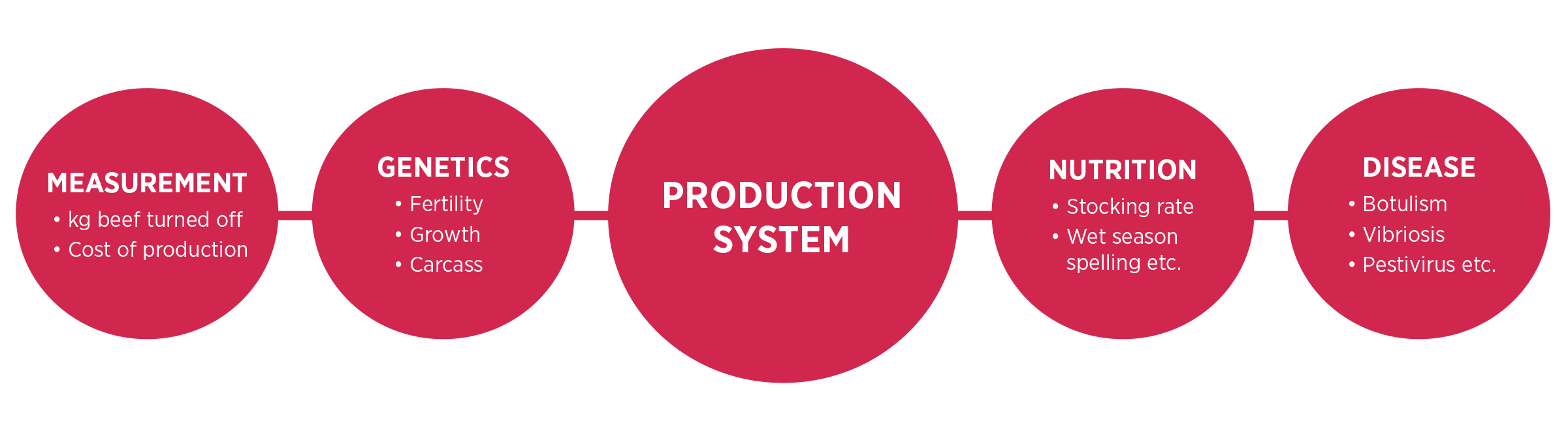 The_Ultimate_Production_System_Infographic