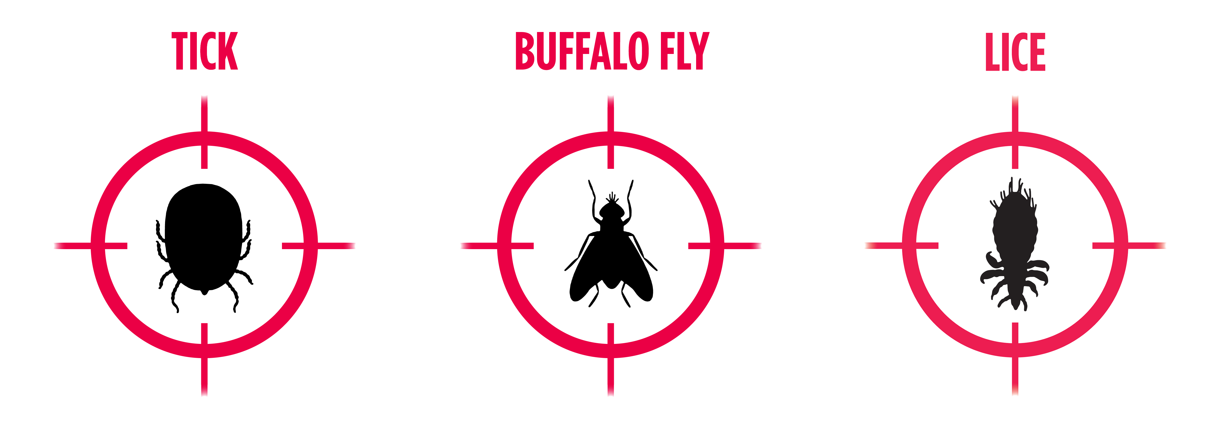Tick_Buffalo_Fly_Lice_Icons