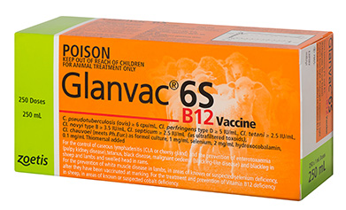 Glanvac 6S B12