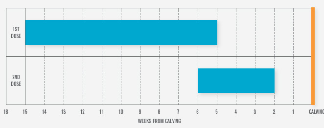 weeks from calving