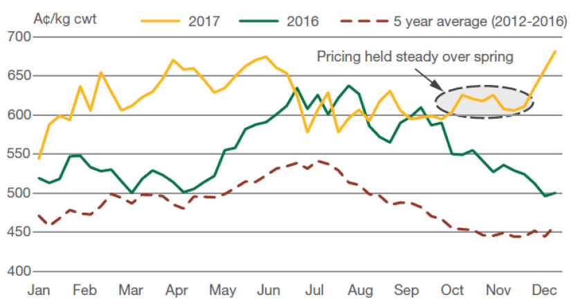 MLA lamb price trend graph