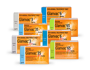 Glanvac Group Shot (8 kinds)