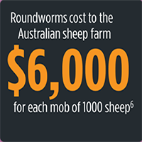 sheepguard information