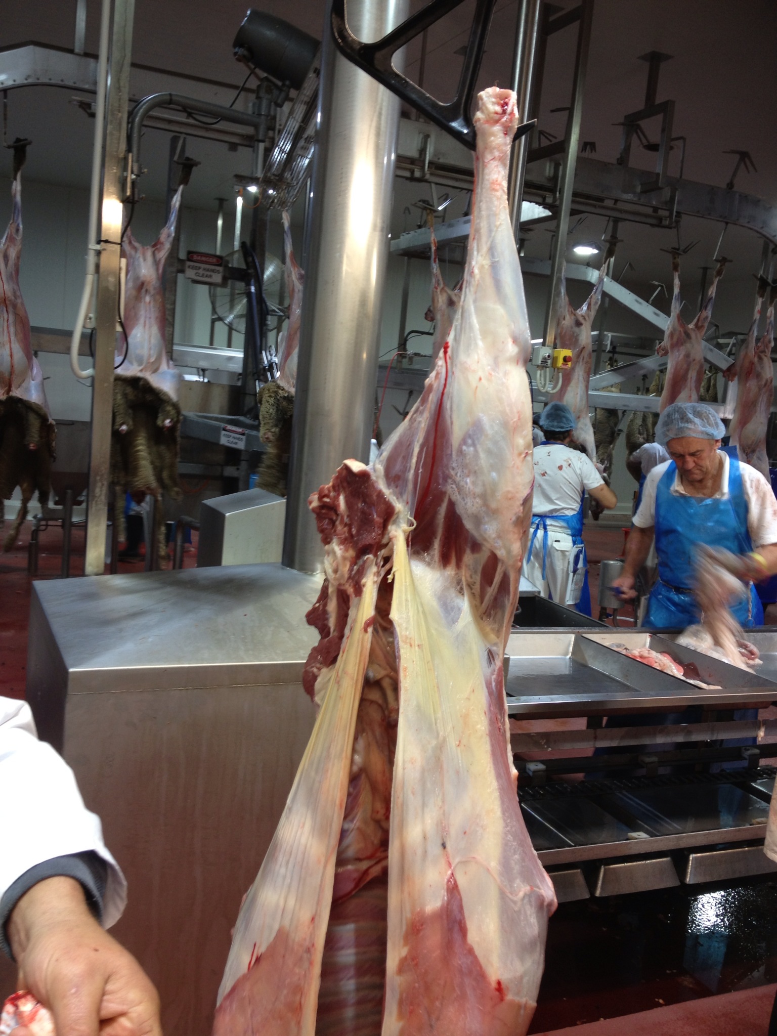 Lamb processing