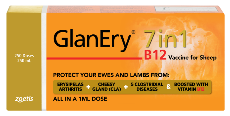 Glanery Testimonial Zoetis AU