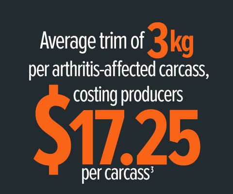 Arthritis Stat 2