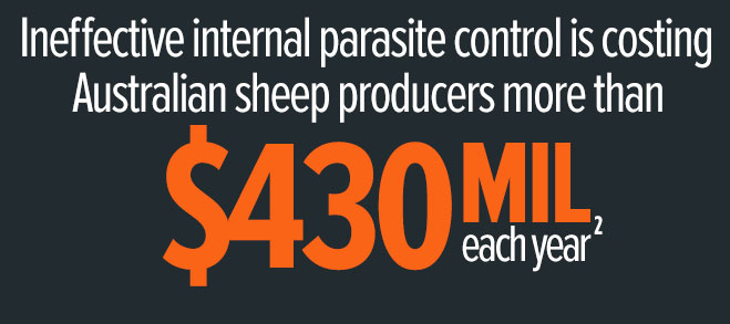 Internal parasites Statistic