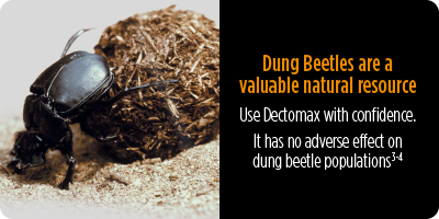 Dectomax Injectable information