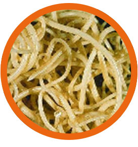 Small Brown Stomach Worm
