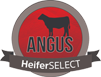 Angus Heifer Select Logo