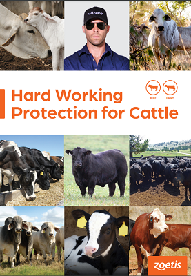 Hard_Working_Protection_for_Cattle_PDF_FrontCover