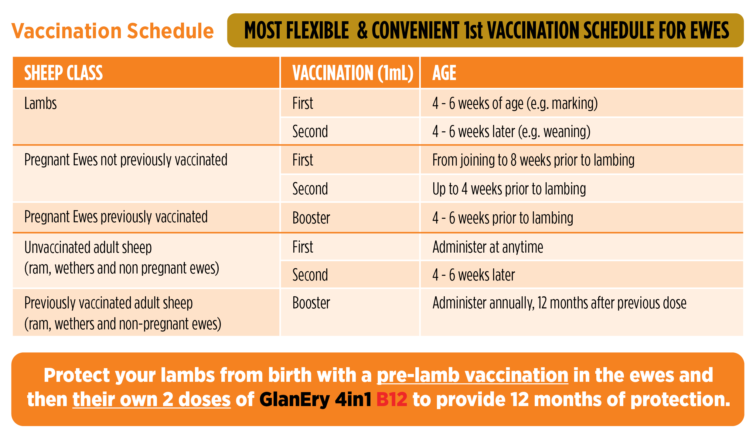 Vaccination schedule