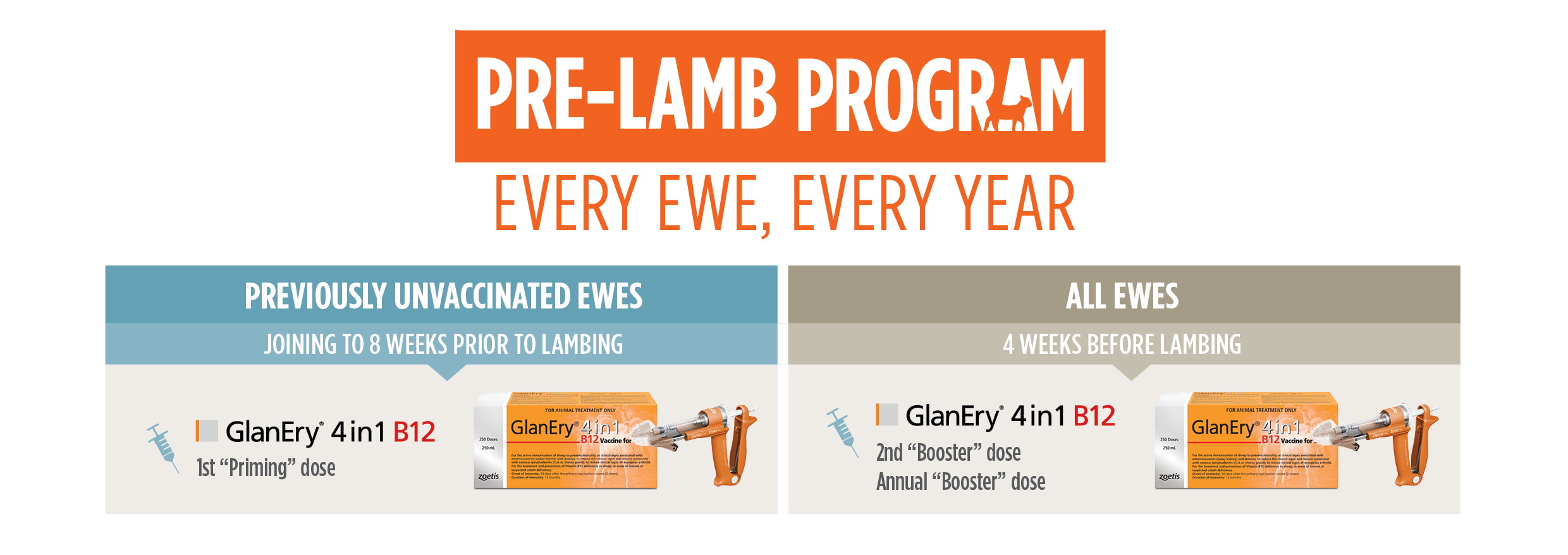 Pre-lamb Program