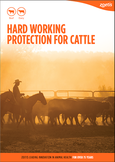 Hard_Working_Protection_for_Cattle_PDF_FrontCover
