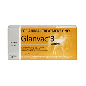 Glanvac 3