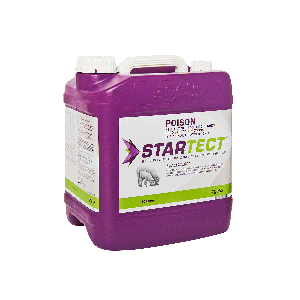 Startect Startect